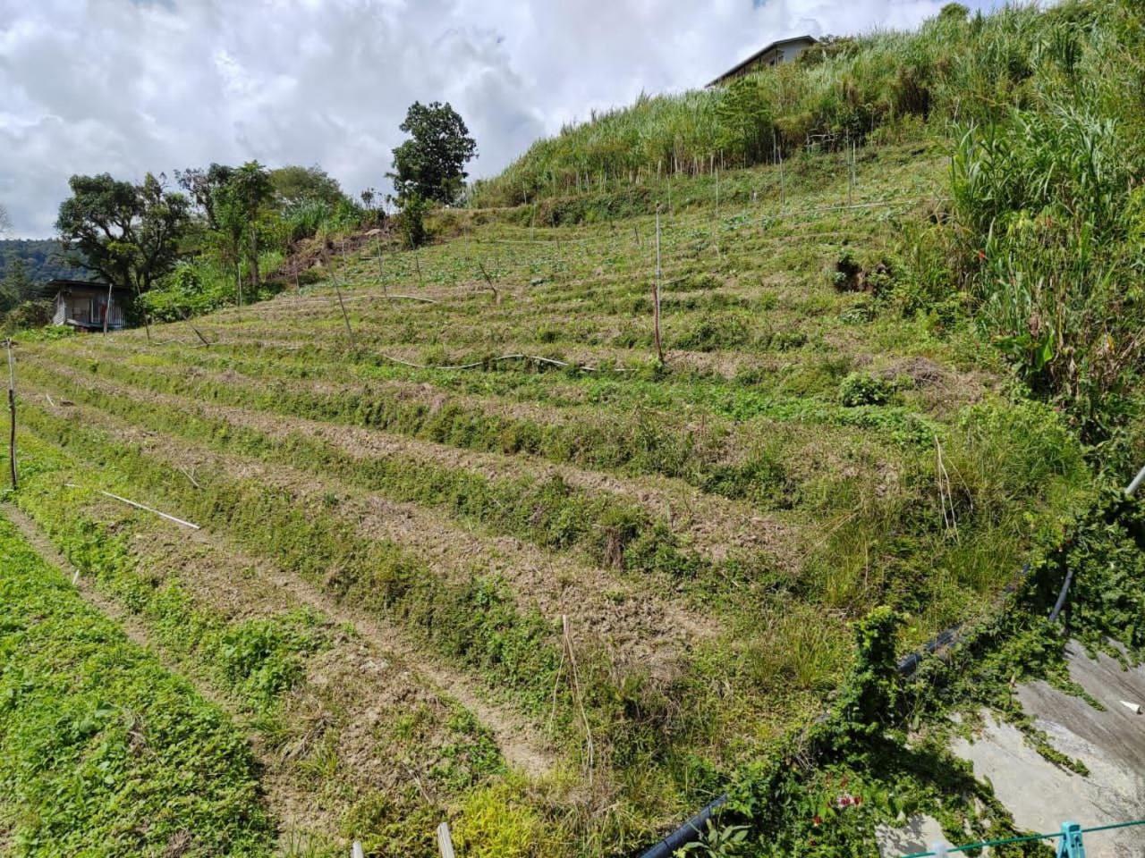Kundasang Mount Garden Kampong Kundassan Exterior foto