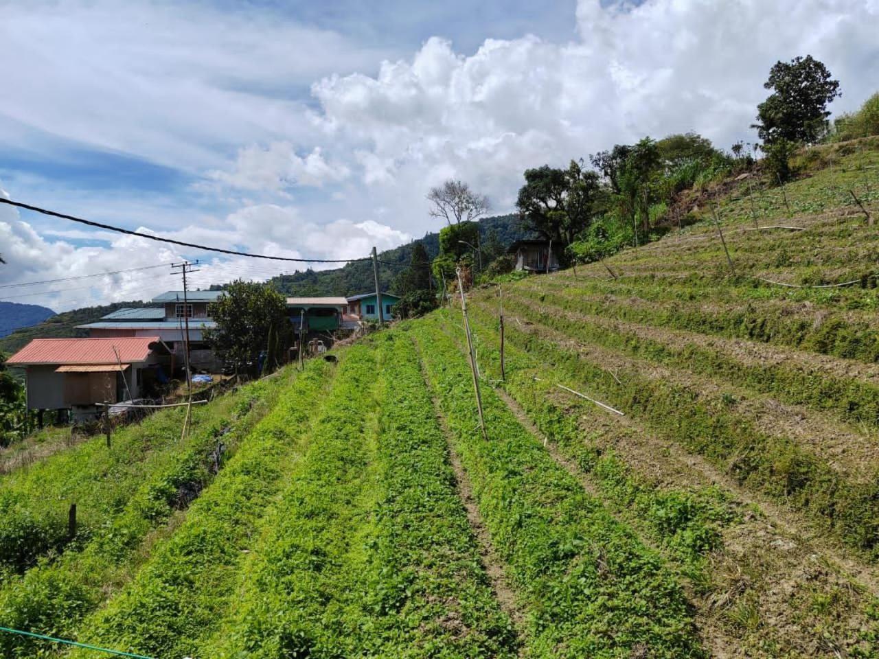 Kundasang Mount Garden Kampong Kundassan Exterior foto